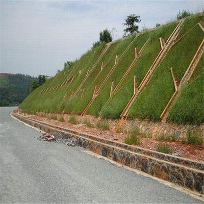 邊坡綠化工程 公路工程建筑的生態(tài)屏障與美學(xué)融合